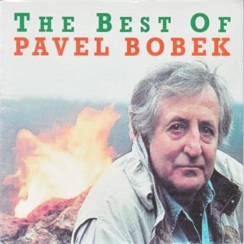 Pavel Bobek (Pojď stoupat jak dým)
