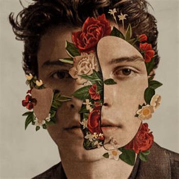 Shawn Mendes (In My Blood)