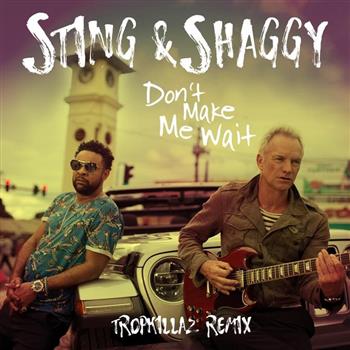 Sting (Donť Make Me Wait ft. Shaggy)